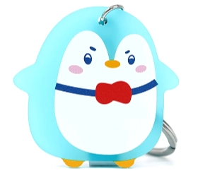 Custom Frosted Acrylic Keychains